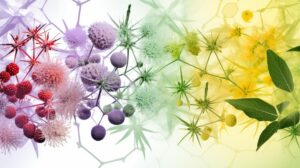 Plant-Derived Alkaloid: A Promising Alzheimer's Treatment Option