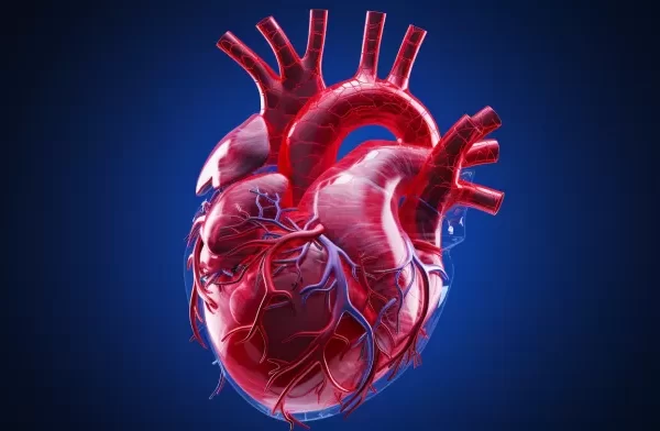 Discover the Heart's Secret Paths to Healing After a Scare