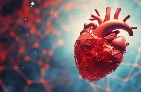 Pumping Up the Heart: The Surprising Link Between Men's Hormones and Cardiovascular Health