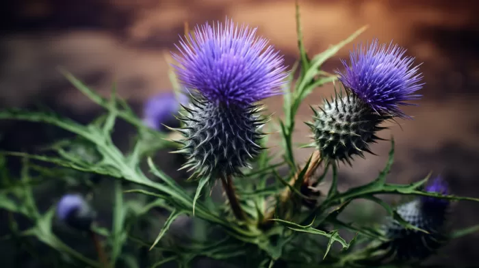 Milk Thistle Magic: Can This Plant Save Your Liver from Poison?