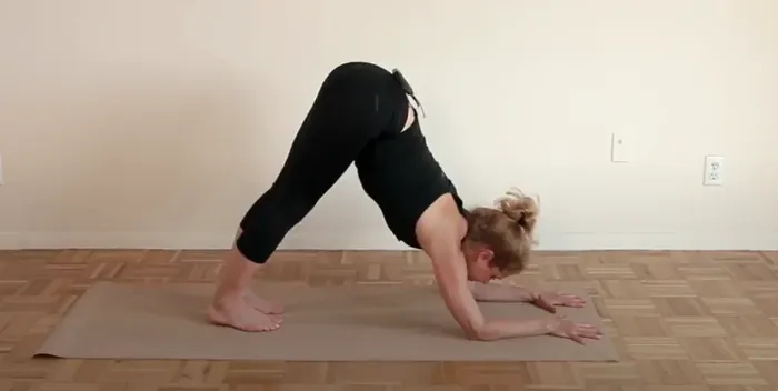 Discover the Dolphin Pose: Your Fun Way to Strengthen and Stretch from Head to Toe