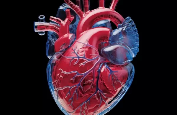 Silent Heart Attacks: The Stealthy Threat Doubling Mortality Risks in Seniors