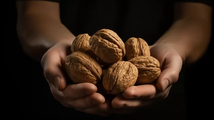 Munch Smarter: How Daily Walnuts Boost Your Brain!