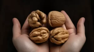 Go Nuts for Fertility: How a Daily Handful of Walnuts Can Shape Up Your Swimmers