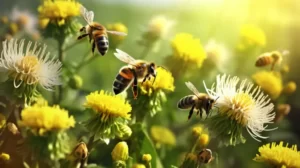 Bees in Danger: How GMO Crops Hurt Our Little Buzzing Friends and Us!