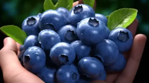 Berry Good News: Blueberries May Beat Heart Disease!