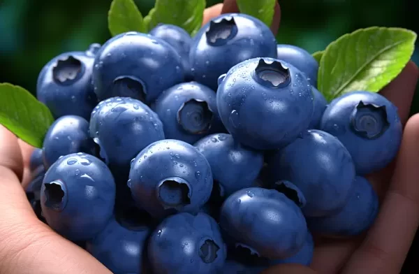 Berry Good News: Blueberries May Beat Heart Disease!
