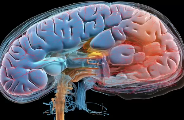 Love's Long Haul: Are Hearts Still Racing After 20 Years Together?