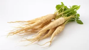 Revitalizing the Weary Warrior: How Ginseng Is Charging Up the Fight Against Cancer Fatigue