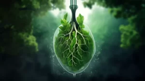 Breathe Easier: How CBD Could Help Your Lungs Fight Back Against COVID Damage